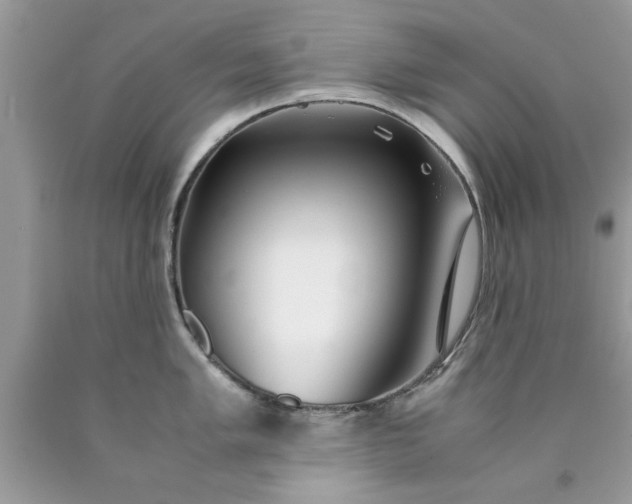 X0000090471005200707272254