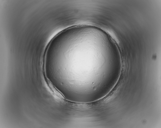 X0000090471007200707272254