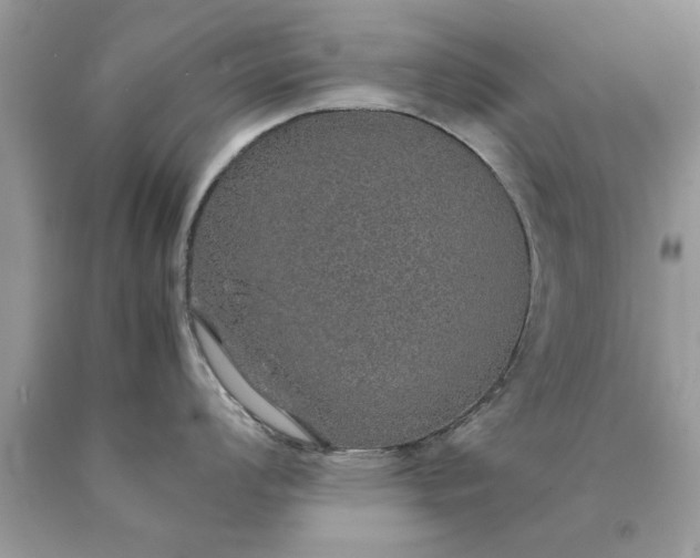 X0000090471008200707272254