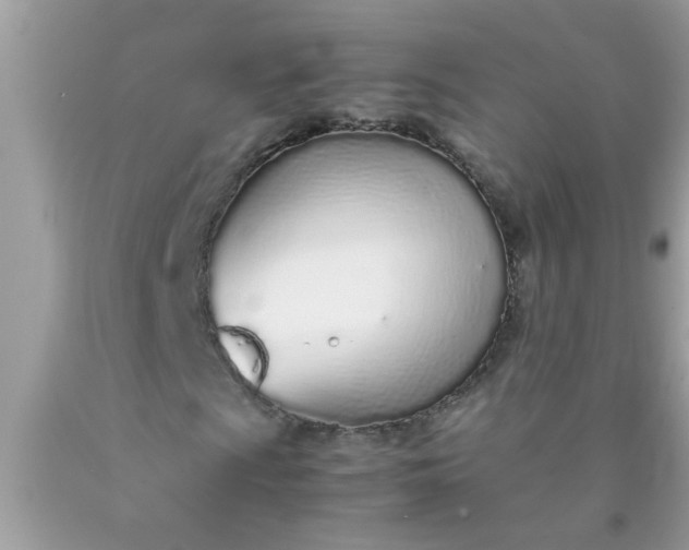 X0000090471009200707272253