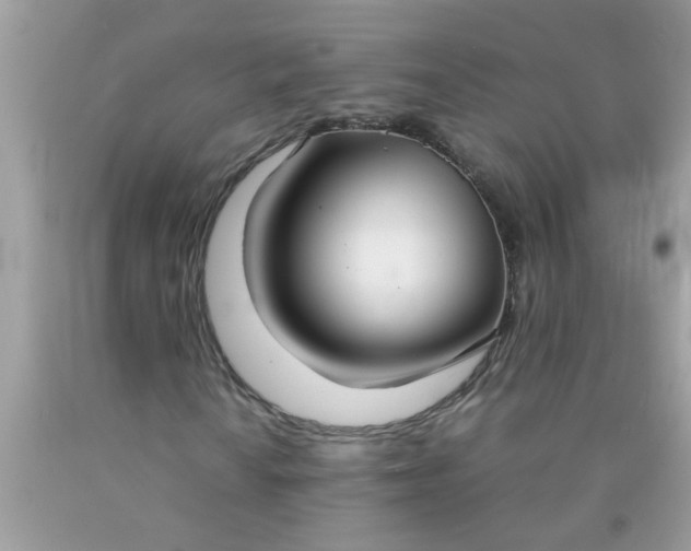 X0000090471010200707272253