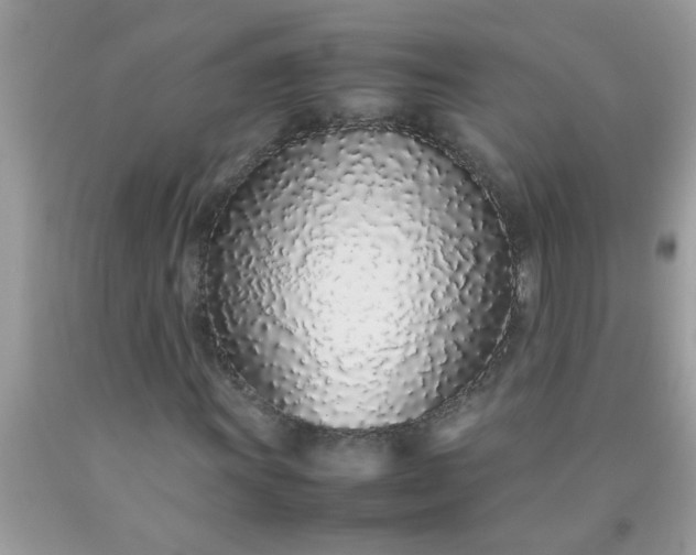 X0000090471011200707272253