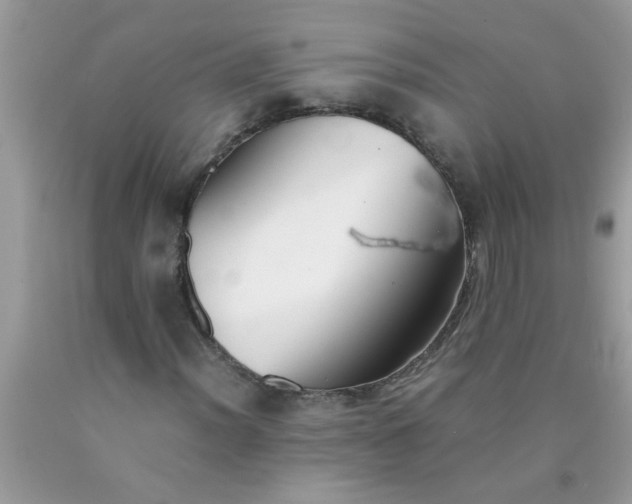 X0000090471012200707272253