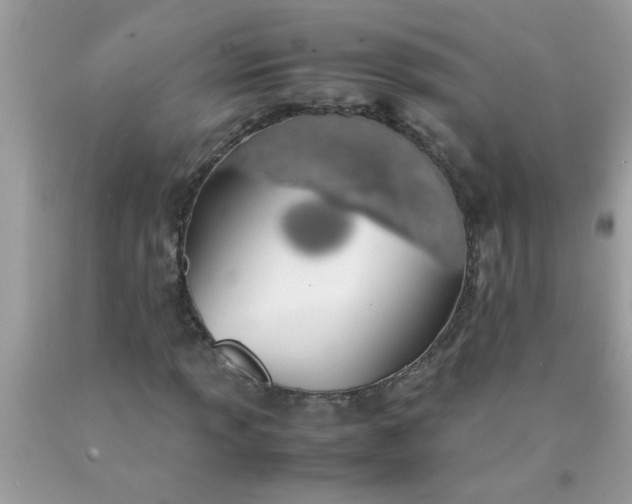 X0000090471013200707272253