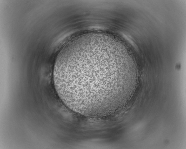 X0000090471015200707272253