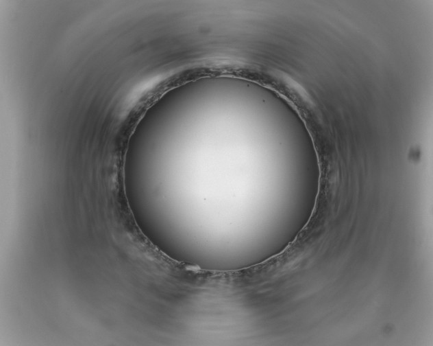 X0000090471016200707272253