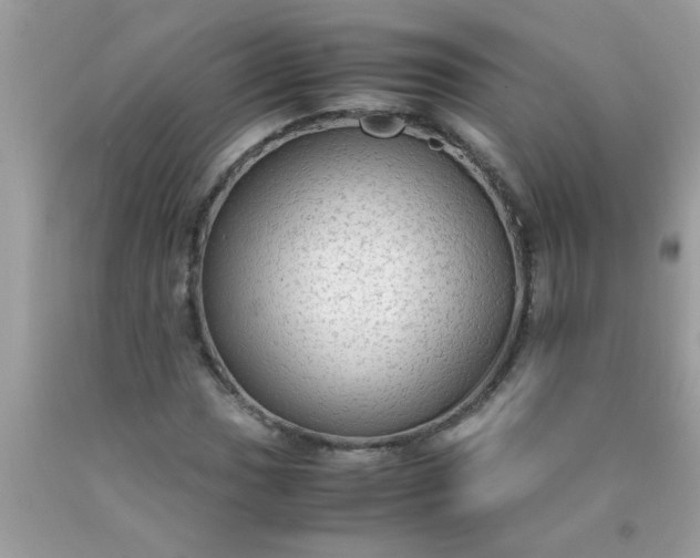 X0000090471017200707272253