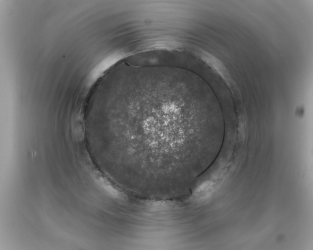 X0000090471018200707272253