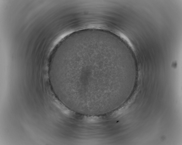 X0000090471019200707272253