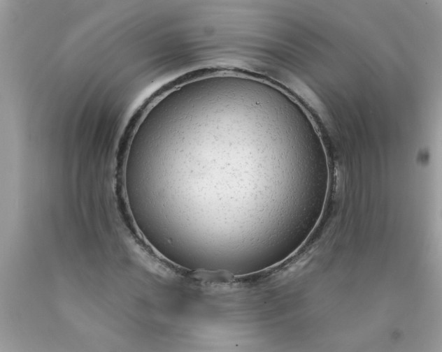 X0000090471020200707272253