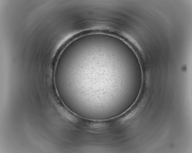 X0000090471021200707272253