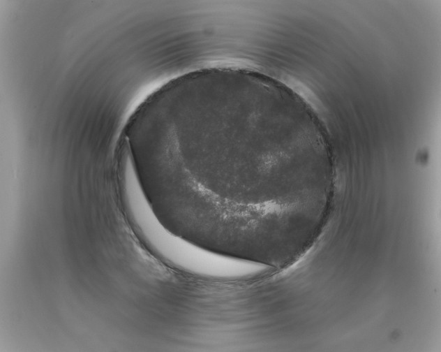 X0000090471022200707272253