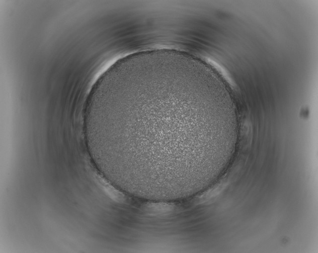 X0000090471023200707272253