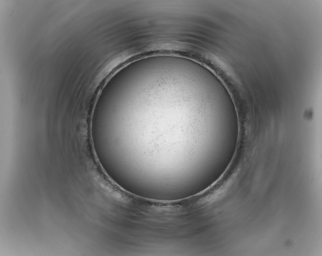 X0000090471025200707272253