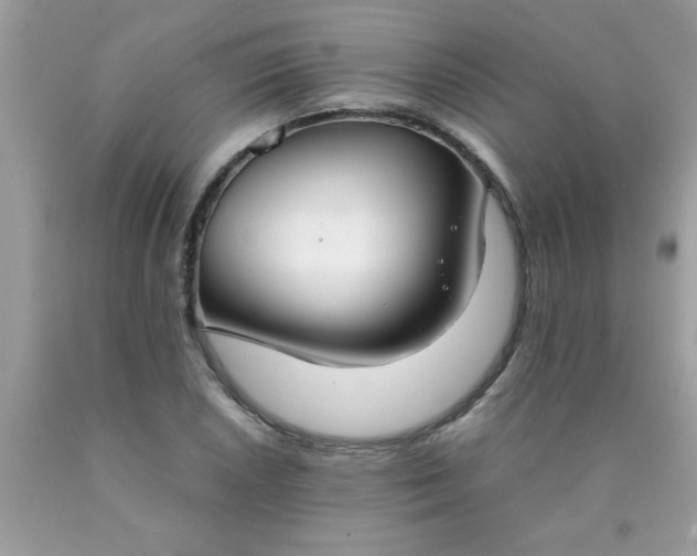 X0000090471026200707272253