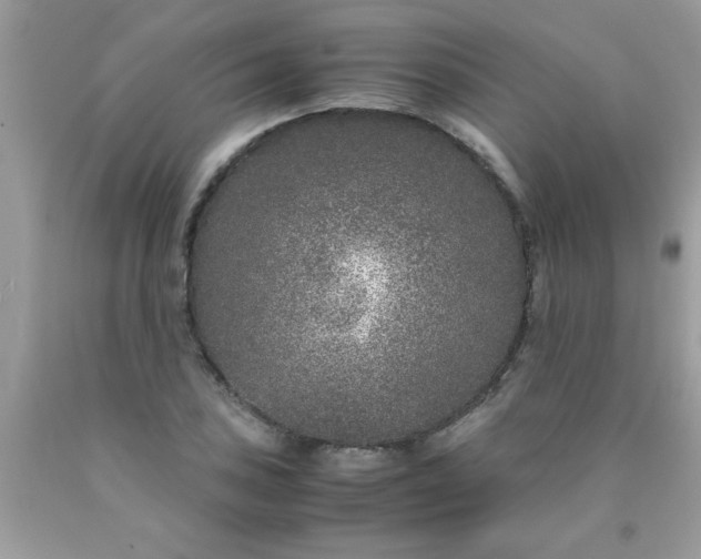 X0000090471027200707272253