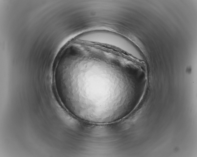 X0000090471028200707272253