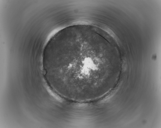 X0000090471030200707272253