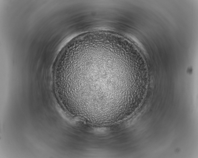 X0000090471031200707272253