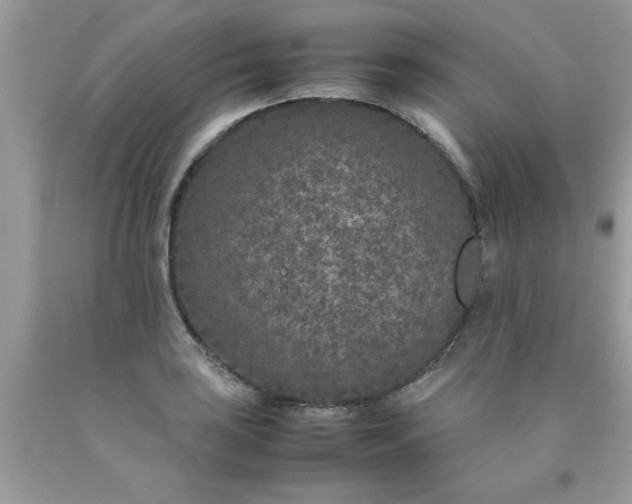 X0000090471035200707272254