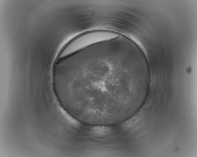 X0000090471037200707272254