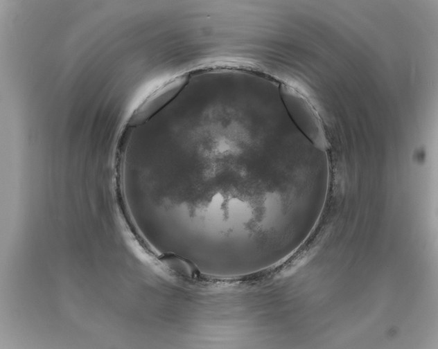 X0000090471038200707272254