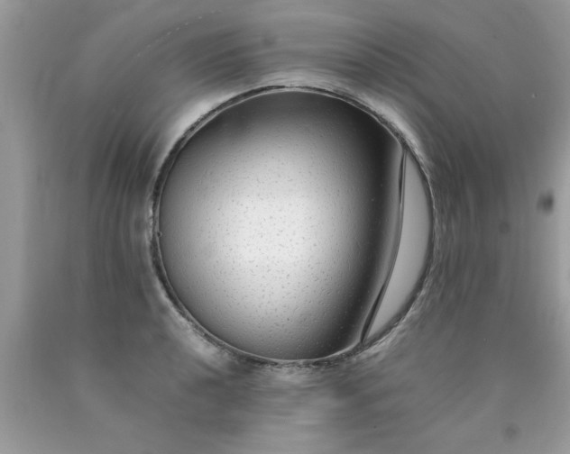 X0000090471040200707272254