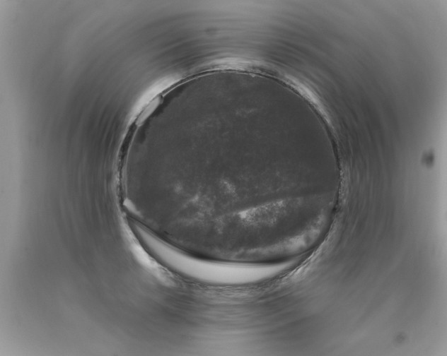 X0000090471042200707272254