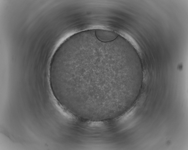 X0000090471043200707272254