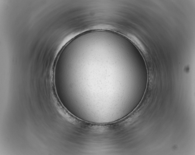 X0000090471044200707272254