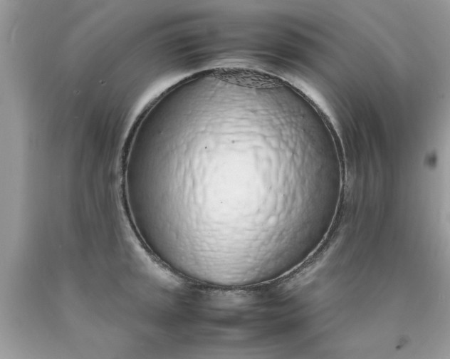 X0000090471045200707272254