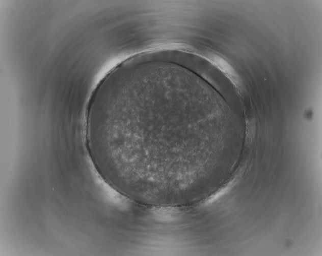 X0000090471046200707272254