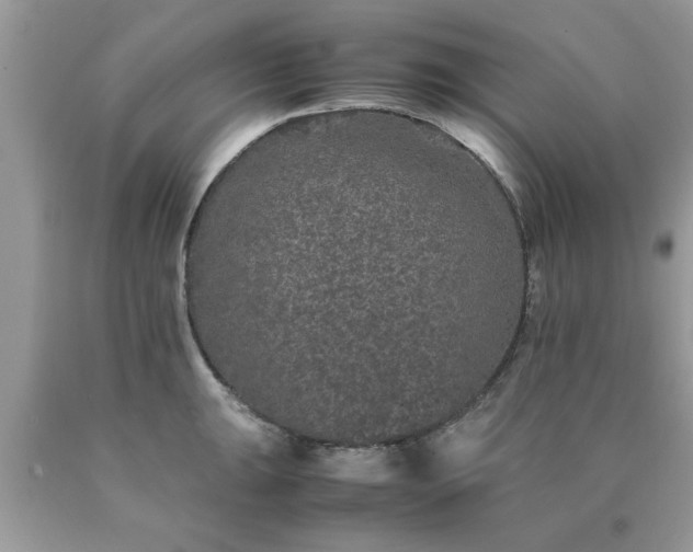 X0000090471047200707272254