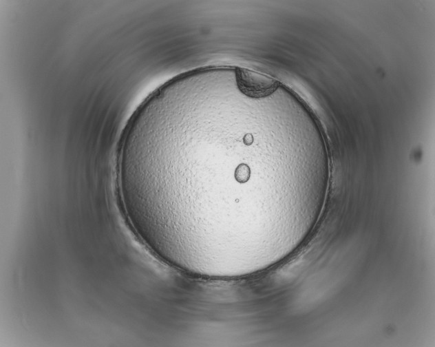 X0000090471048200707272254