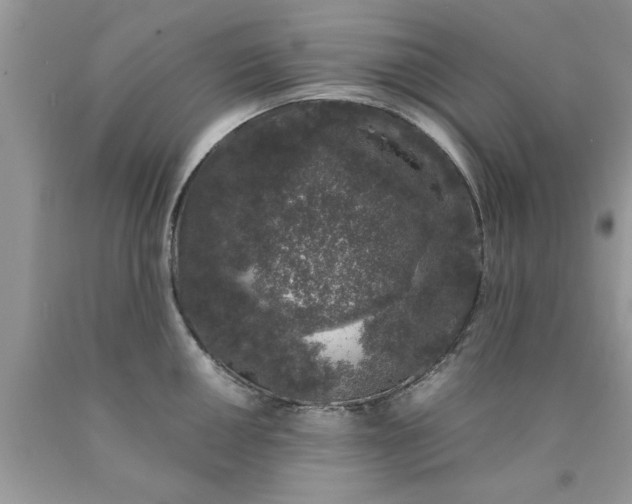 X0000090471050200707272254