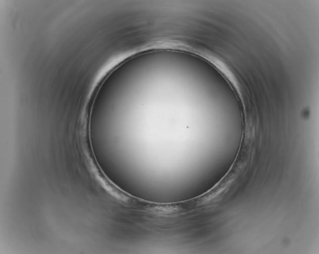 X0000090471053200707272254