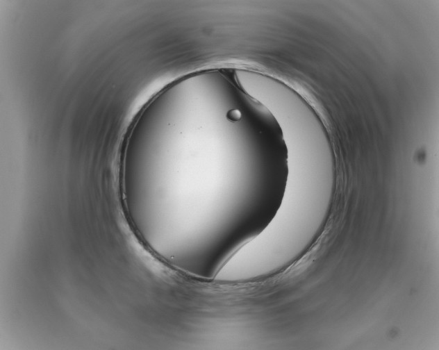 X0000090471054200707272254