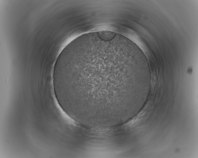 X0000090471055200707272254