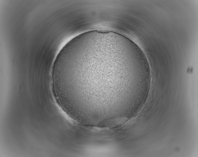 X0000090471056200707272254