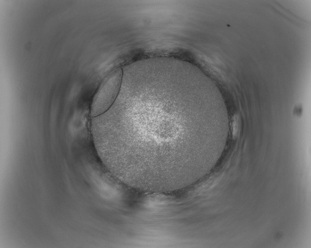 X0000090471059200707272253