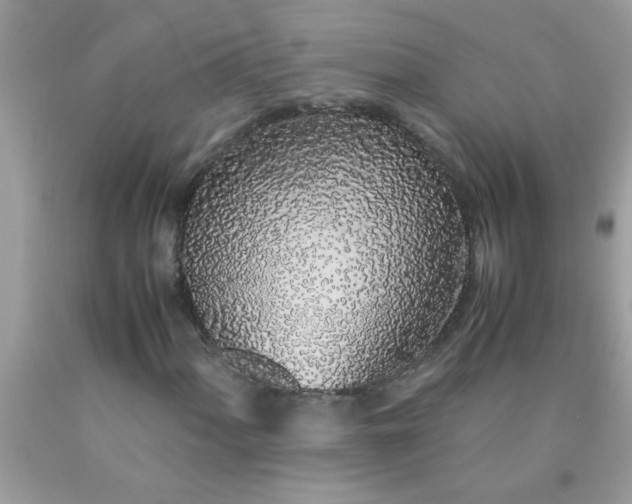 X0000090471060200707272253