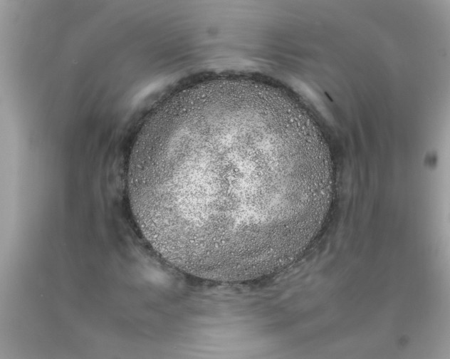 X0000090471063200707272253