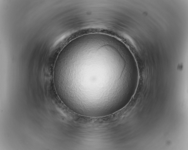 X0000090471064200707272253