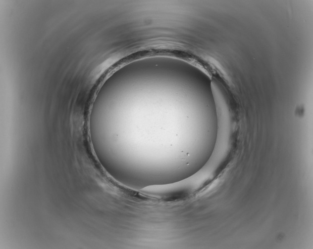 X0000090471065200707272253