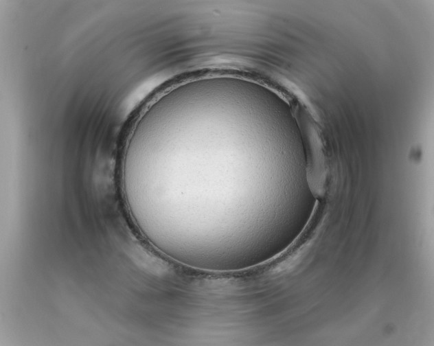 X0000090471066200707272253