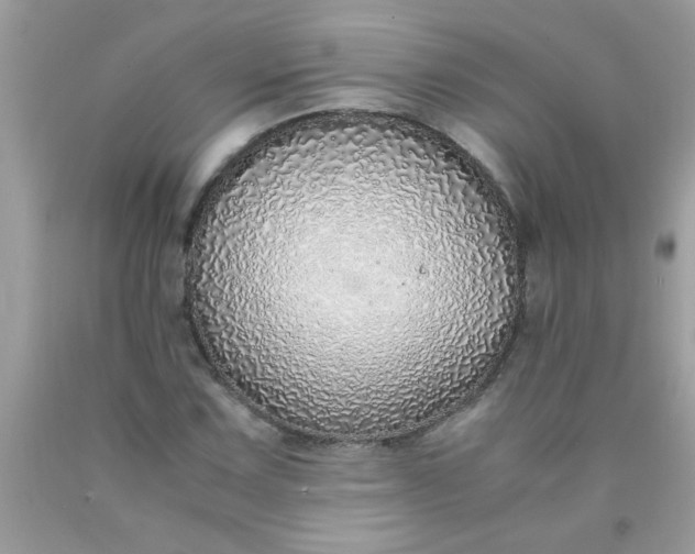 X0000090471067200707272253