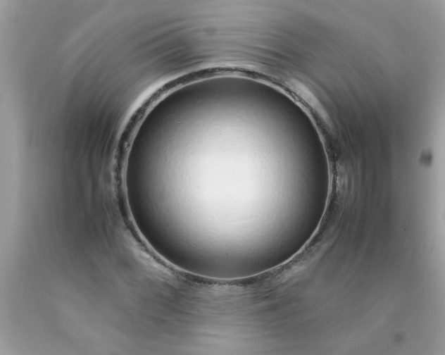 X0000090471068200707272253