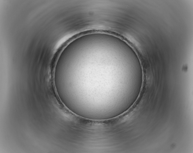 X0000090471070200707272253