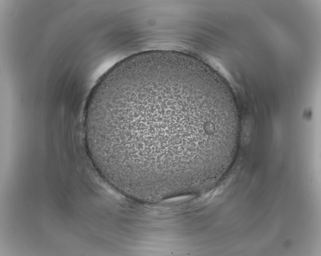 X0000090471071200707272253