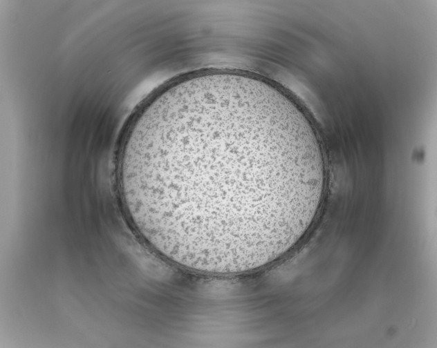 X0000090471074200707272253